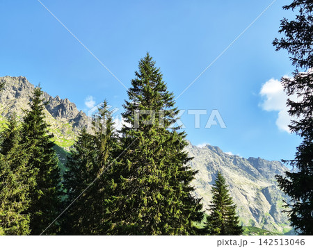 High Tatra mountain landscape featuring a quiet wooded slopes, and rugged rocky peaks. A scenic natural setting in the Poland-Slovakia border region. High Tatra mountain landscape featuring a quiet wooded slopes, and rugged rocky peaks. A scenic natural setting in the Poland-Slovakia border region. 142513046
