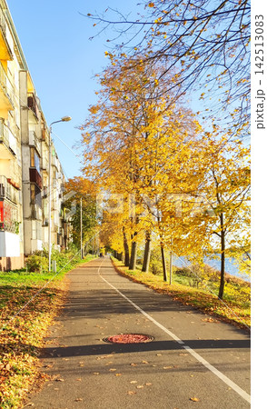 Golden autumn trees across a peaceful park. Seasonal foliage, soft light, and natural surroundings evoke the beauty of fall. Golden autumn trees across a peaceful park. Seasonal foliage, soft light, and natural surroundings evoke the beauty of fall. 142513083