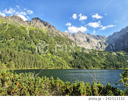 A forest lake nestled among coniferous slopes and rugged peaks of the High Tatras. Natural mountain scenery from the border region of Poland and Slovakia. A forest lake nestled among coniferous slopes and rugged peaks of the High Tatras. Natural mountain scenery from the border region of Poland and Slovakia. 142513132