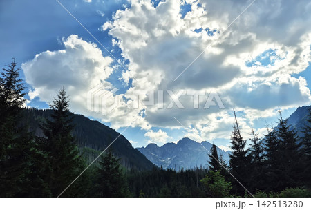 A picturesque view of the High Tatras with coniferous forest scattered across the mountain slopes. Natural alpine scenery near Zakopane, Poland. A picturesque view of the High Tatras with coniferous forest scattered across the mountain slopes. Natural alpine scenery near Zakopane, Poland. 142513280