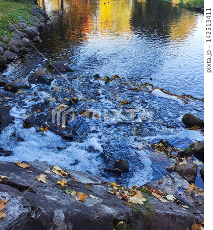 Dry golden-brown maple leaf lying on a gray stone railing overlooking a river and autumn park. 142513411