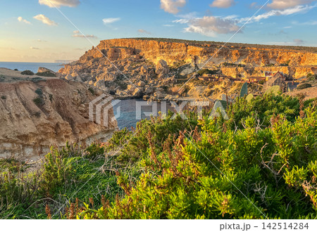Golden Hour Light Over Anchor Bay Cliffs and Coastal Vegetation in Malta Golden Hour Light Over Anchor Bay Cliffs and Coastal Vegetation in Malta 142514284