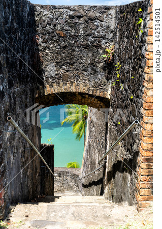 View of the tropical turquoise sea and a palm tree through a historic stone archway and staircase at Fort Saint-Louis in Fort-de-France, Martinique 142514501