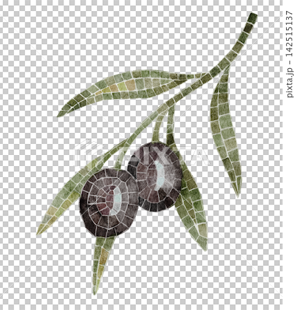 Olive branch watercolor mosaic illustration with dark olives and green leaves isolated on background. Mediterranean decorative clipart for Roman, Greek, antique and botanical designs. Olive branch watercolor mosaic illustration with dark olives and green leaves isolated on background. Mediterranean decorative clipart for Roman, Greek, antique and botanical designs. 142515137