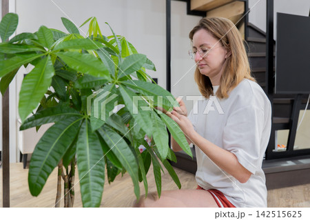 Woman dusting large indoor plant leaves in living room, performing gentle care as homeowner, focusing on removing dust with soft cloth. Bright modern interior, natural light, calming routine, tidy Woman dusting large indoor plant leaves in living room, performing gentle care as homeowner, focusing on removing dust with soft cloth. Bright modern interior, natural light, calming routine, tidy 142515625