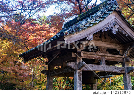 紅葉に包まれた鐘楼 紅葉に包まれた鐘楼 142515976