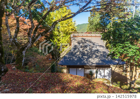 紅葉に包まれた小屋 142515978