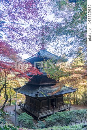 紅葉に包まれた三重塔 142515980