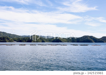 愛媛県八幡浜港の魚の養殖場。海に浮かぶ養殖いけす。コピースペースあり 愛媛県八幡浜港の魚の養殖場。海に浮かぶ養殖いけす。コピースペースあり 142515981
