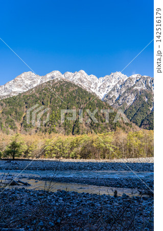 上高地 梓川左岸から見上げる明神岳の五峰 初夏残雪期の北アルプス北穂高岳登山 上高地 梓川左岸から見上げる明神岳の五峰 初夏残雪期の北アルプス北穂高岳登山 142516179