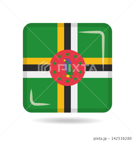 Square shape icon of the national flag of Dominica Vector illustration 142516280