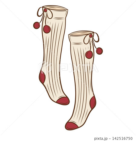 Vector illustration of a pair of knitted knee socks with pom poms Vector illustration of a pair of knitted knee socks with pom poms 142516750