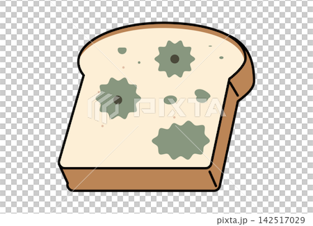 Moldy bread Moldy bread 142517029