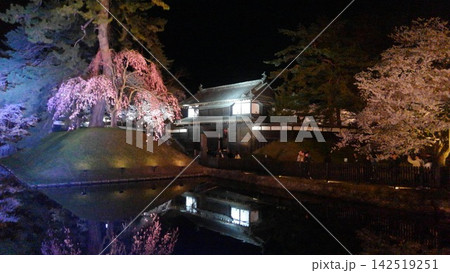 水面に映る幻想的な夜桜と城郭 142519251