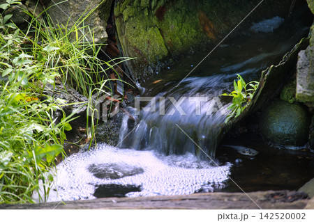 Small Forest Stream Cascading Over Mossy Stones in Natural Woodland Environment Small Forest Stream Cascading Over Mossy Stones in Natural Woodland Environment 142520002