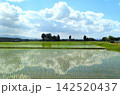 散居村の田んぼに映る空 142520437