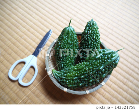収穫したての新鮮なゴーヤ 収穫したての新鮮なゴーヤ 142521759