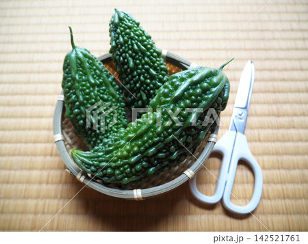 収穫したての新鮮なゴーヤ 収穫したての新鮮なゴーヤ 142521761