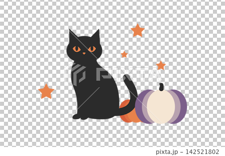 Halloween black cat and pumpkin Halloween black cat and pumpkin 142521802
