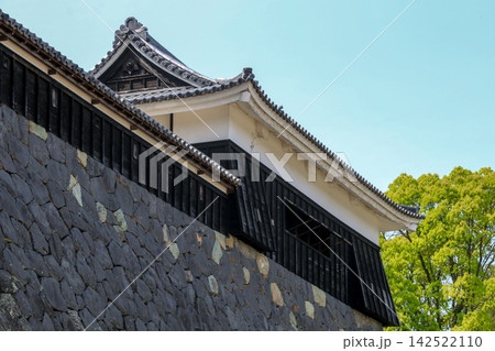 松江城 松江城 142522110