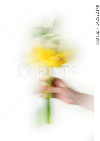 Movement as emotion. Hand extends bouquet of yellow flowers with such speed and tenderness that reality blurs into sensation Movement as emotion. Hand extends bouquet of yellow flowers with such speed and tenderness that reality blurs into sensation 142522149