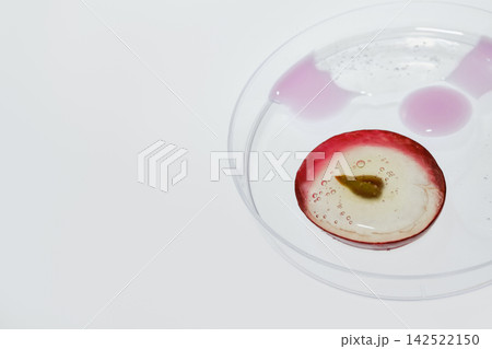grape slice in petri dish with liquid, representing natural ingredient research 142522150