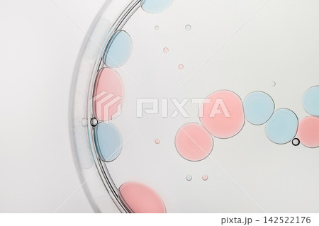 Pink and blue oil drops floating in liquid within clear petri dish on white Pink and blue oil drops floating in liquid within clear petri dish on white 142522176