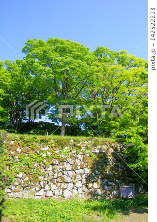 津和野城跡 津和野城跡 142522213