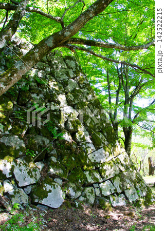 津和野城跡 津和野城跡 142522215