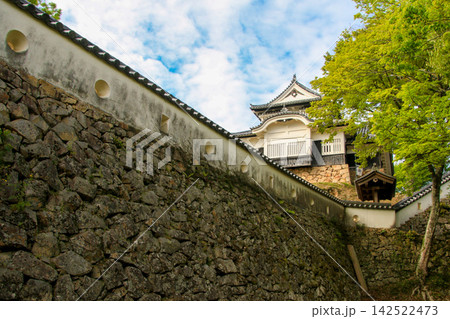 備中松山城 142522473
