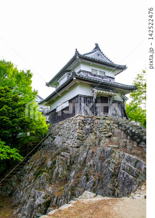 備中松山城 142522476