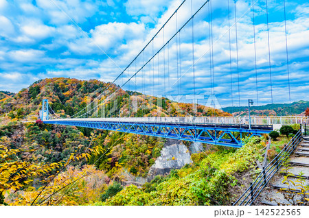 茨城 紅葉に染まる竜神大吊橋 茨城 紅葉に染まる竜神大吊橋 142522565