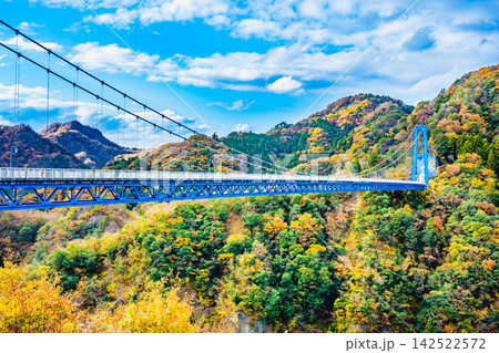 茨城 紅葉に染まる竜神大吊橋 茨城 紅葉に染まる竜神大吊橋 142522572