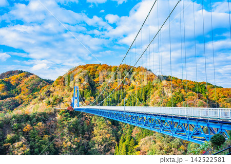 茨城 紅葉に染まる竜神大吊橋 142522581