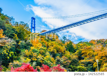 茨城 紅葉に染まる竜神大吊橋 茨城 紅葉に染まる竜神大吊橋 142522585