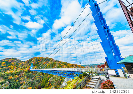 茨城 紅葉に染まる竜神大吊橋 茨城 紅葉に染まる竜神大吊橋 142522592