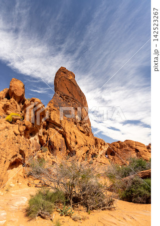 Red sandstone desert cliffs with blue sky dramatic rock landscape 142523267