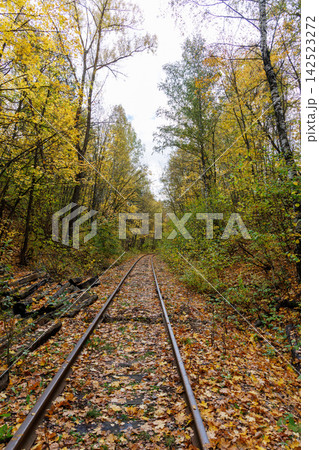 Railway tracks running through an autumn forest with colorful trees Railway tracks running through an autumn forest with colorful trees 142523272