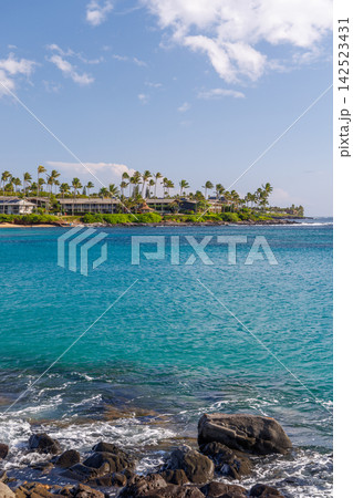 Sunny resort in Hawaii with golden sand, clear blue water under a bright sky Sunny resort in Hawaii with golden sand, clear blue water under a bright sky 142523431
