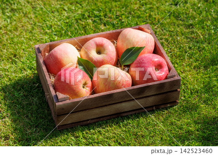 Fresh red apples in wooden crate on green grass 142523460