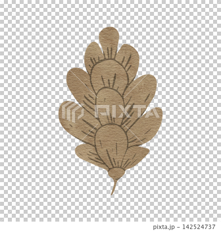 Watercolor pine cone evergreen tree. Hand drawn botanical illustration isolated image on background for Christmas greetings, cards, wallpapers, invitation Watercolor pine cone evergreen tree. Hand drawn botanical illustration isolated image on background for Christmas greetings, cards, wallpapers, invitation 142524737