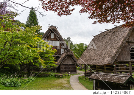 Traditional houses of Hida Minzoku Mura Folk Village in Takayama 142524867