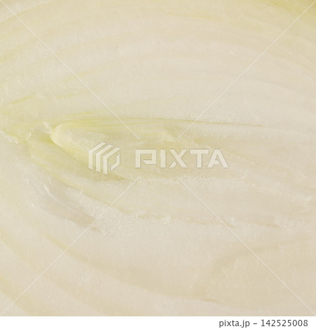 onion isolated  texture background half slice 142525008