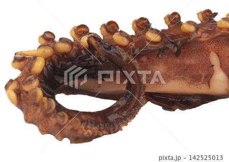Squid on a stick isolated on white background Squid on a stick isolated on white background 142525013