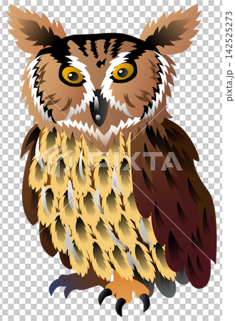 逼真的貓頭鷹插畫：毛腿漁鴞 142525273