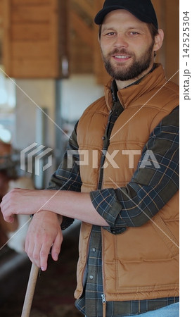 Vertical video. Portrait of a farmer tending to cows in a clean barn. 142525304