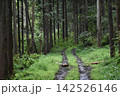 山奥の林道 142526146