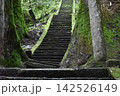 苔むした神社の石段 142526149