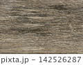 Weathered driftwood texture with fine sand grains. Aged natural wood background ideal for eco branding, beach themes, and rustic web design 142526287