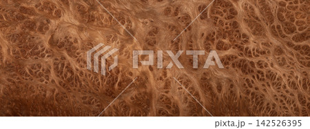 root Wood burl texture abstract pattern root Wood burl texture abstract pattern 142526395